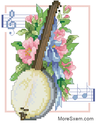 банджо и цветы