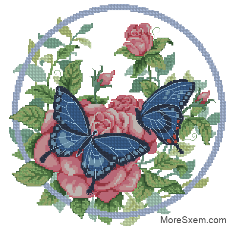 Бабочки на розах