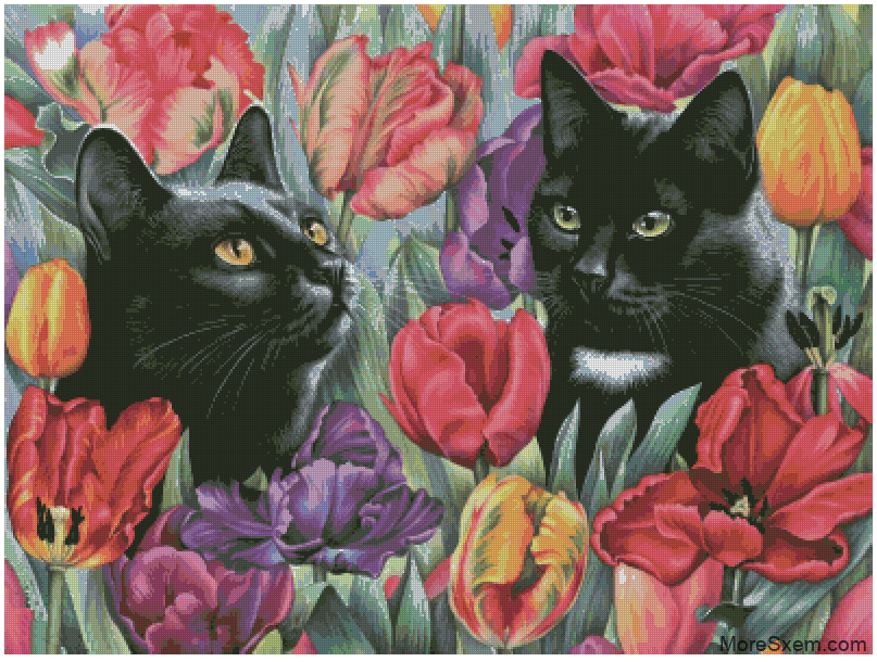 Кошки в тюльпанах