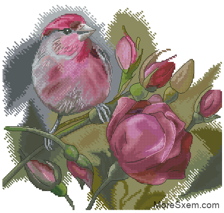 Птичка и розы