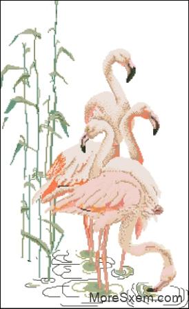 Розовые фламинго | МореСхем