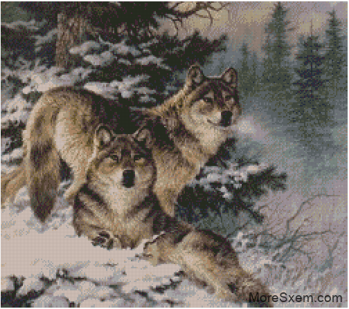 Волки в лесу