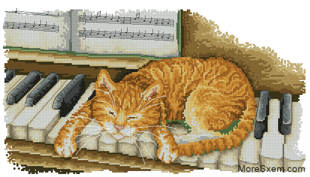 Котик на пианино