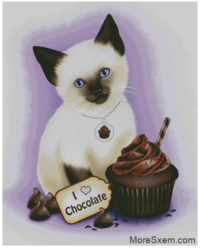 Котёнок и шоколадный кекс