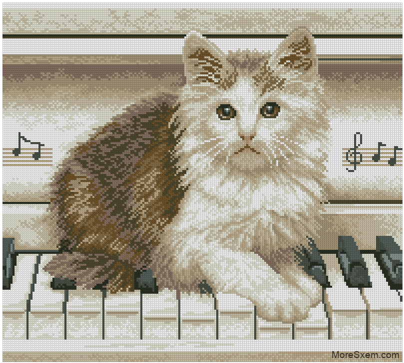 Котенок на пианино