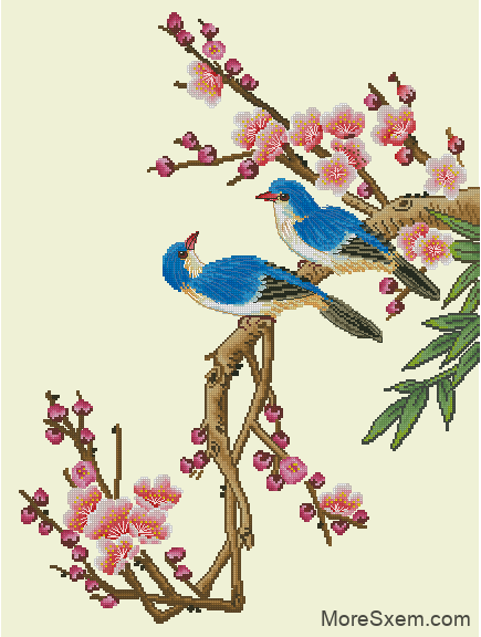 Птицы на цветущей ветке сакуры