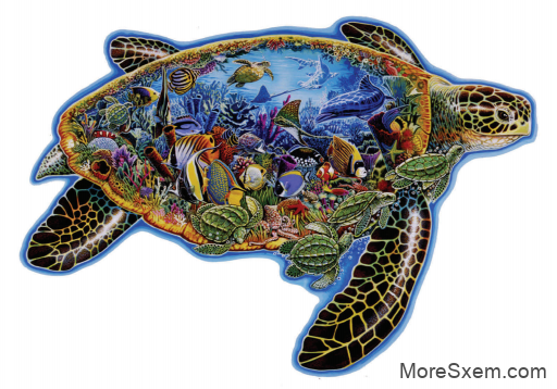 Мир морских черепах