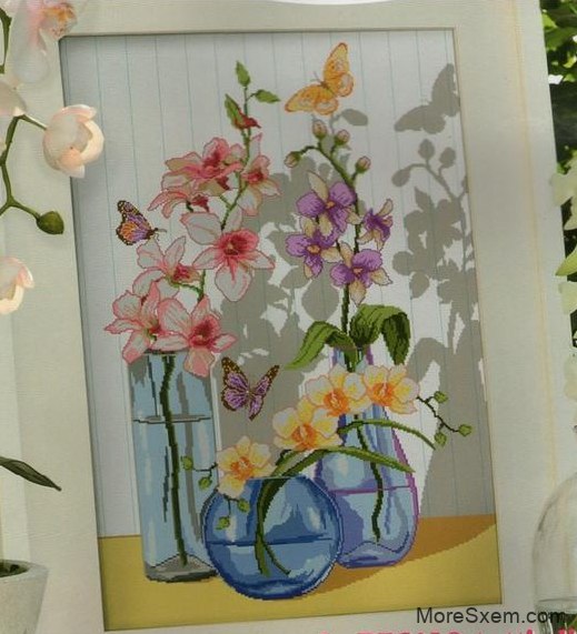 Орхидея для вашего дома
