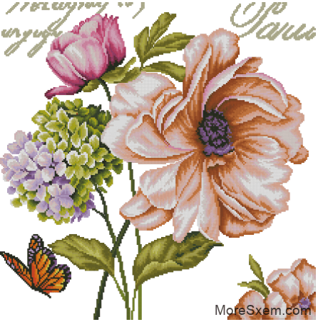 Красивые цветы
